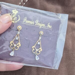 Nwt Dangle Earrings PD
